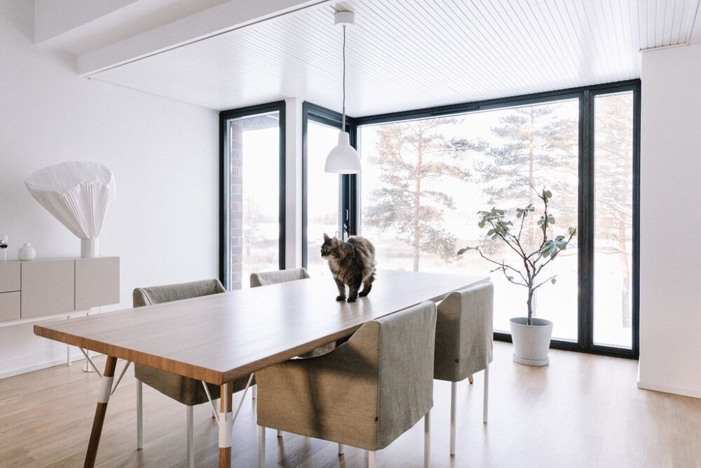 Sisustuspaneeli Siparila Railo Puhdas Valkoinen 13 x 95 x 2350 mm