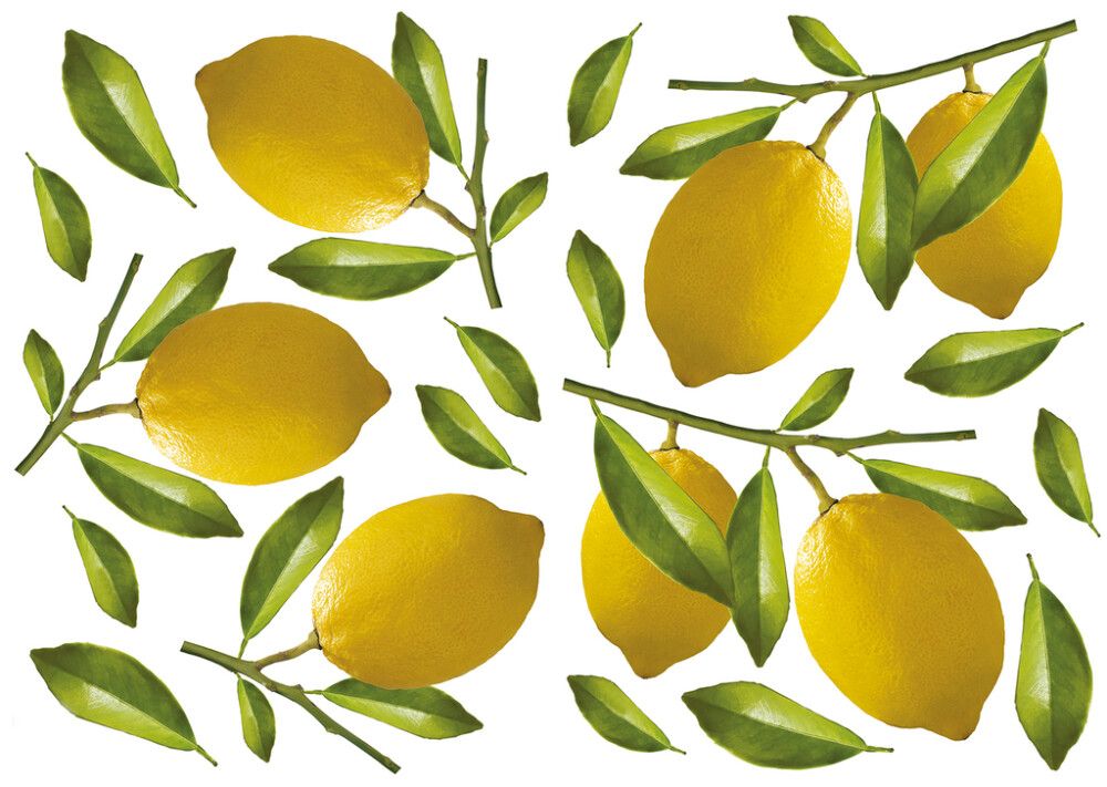 Sisustustarra Plage Sitruunat