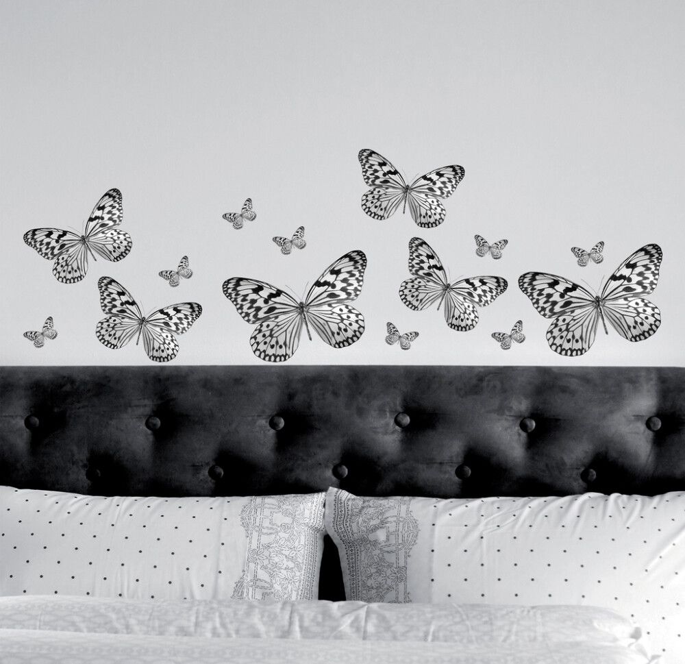 Seinätarra Plage S Perhoset