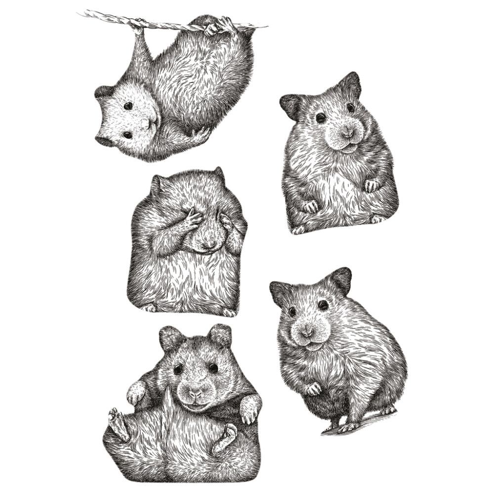 Sisustustarra Plage Hamsterit 2 kpl 29,7 x 21 cm