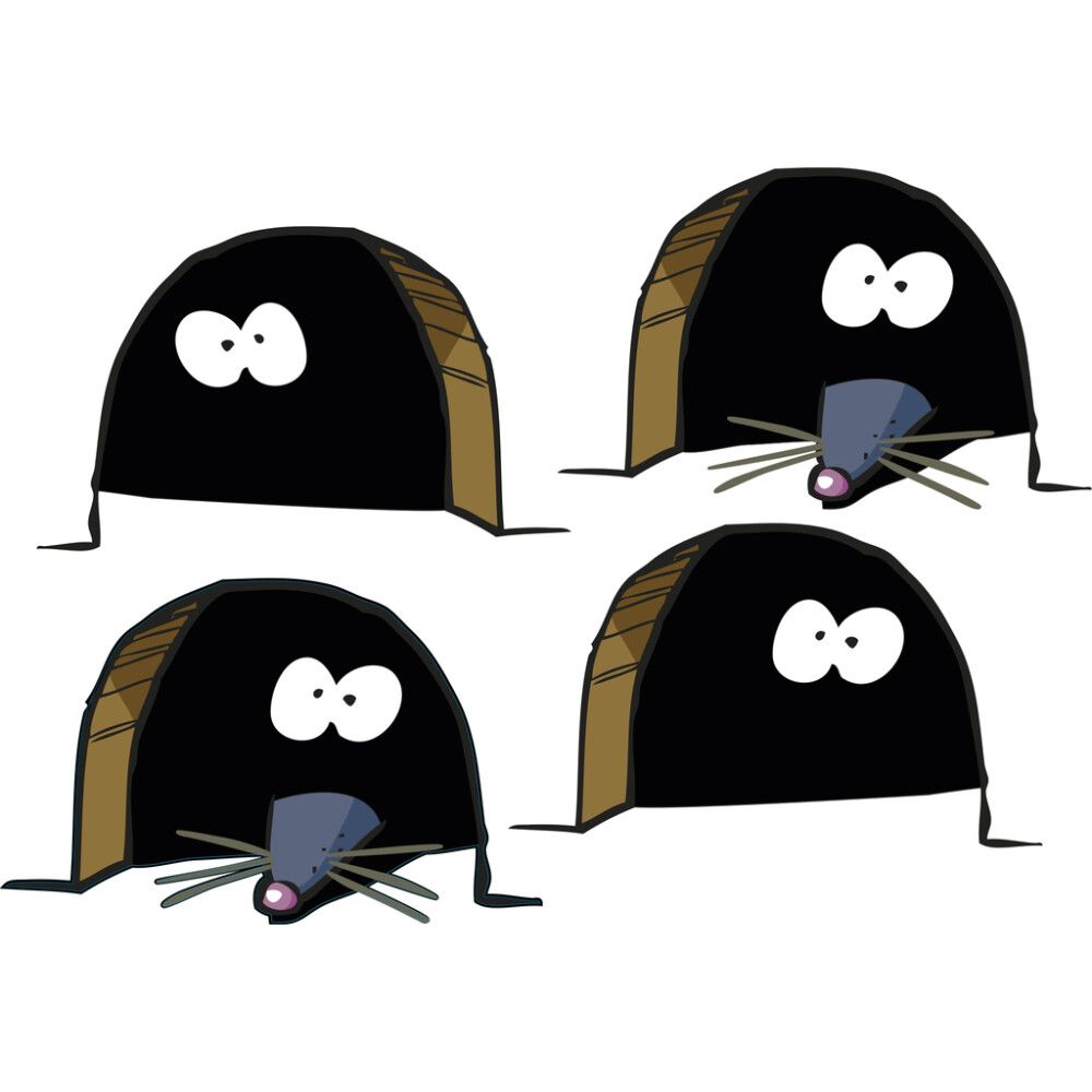 Sisustustarra Plage Hiiren kolot 2 kpl 29,7 x 21 cm