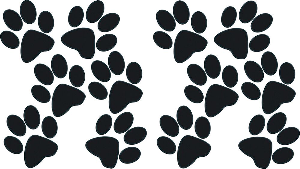 Sisustustarra Plage XS Jalanjäljet