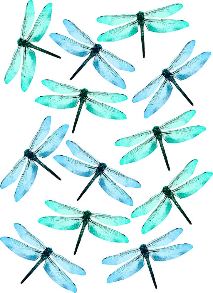 Staattinen Tarra Plage Sudenkorento