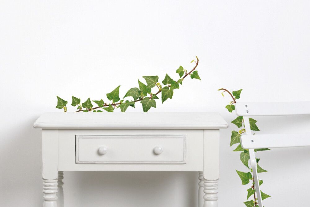 Seinätarra Plage Iwy 2 kpl