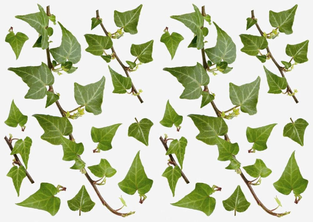 Seinätarra Plage Iwy 2 kpl