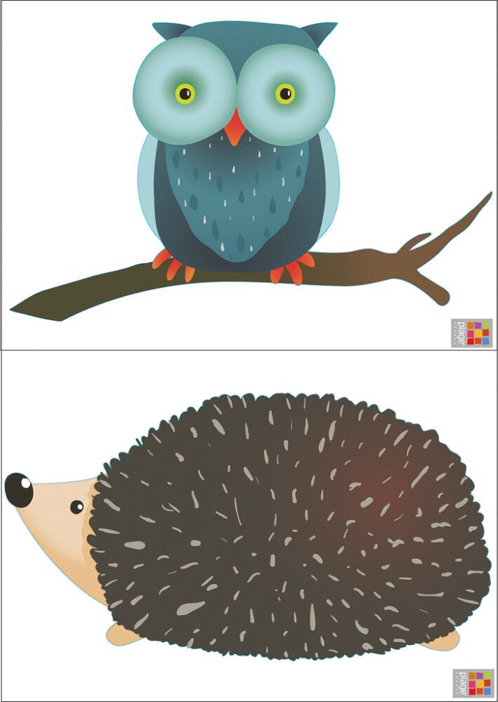 Seinätarra Plage S Pöllö ja Siili