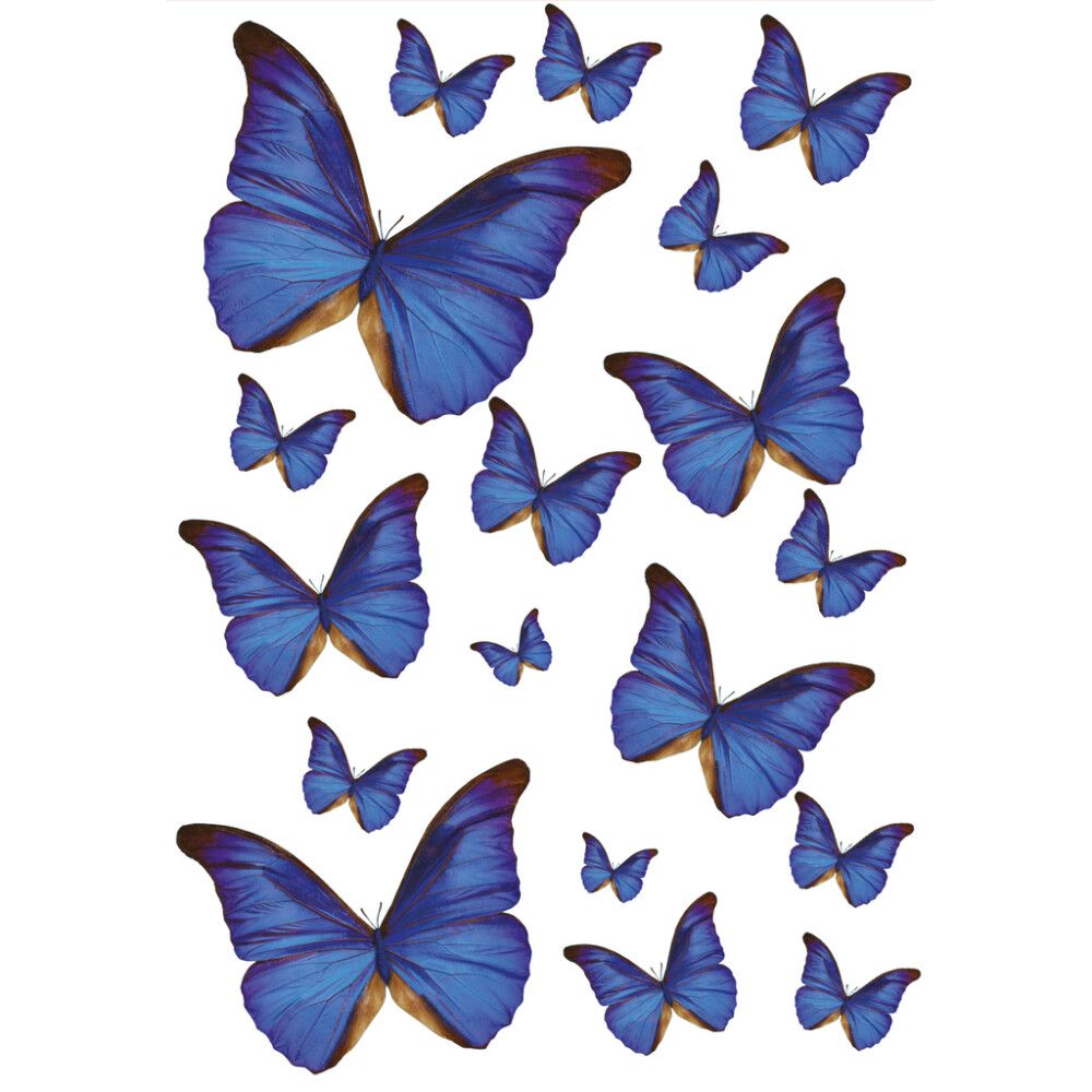 Julistetarra Plage Siniset Perhoset 48 x 68 cm