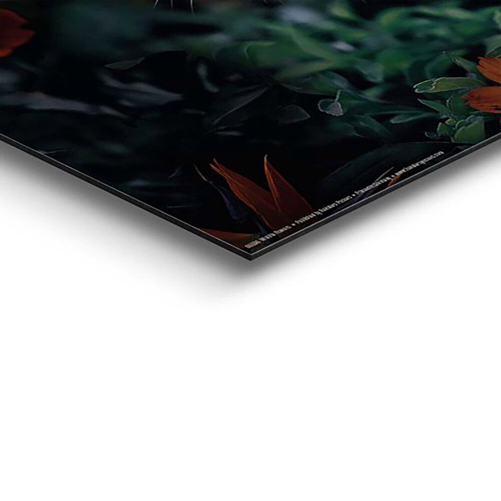 Sisustustaulu Reinders Wildlife Flowers 40 x 50 cm