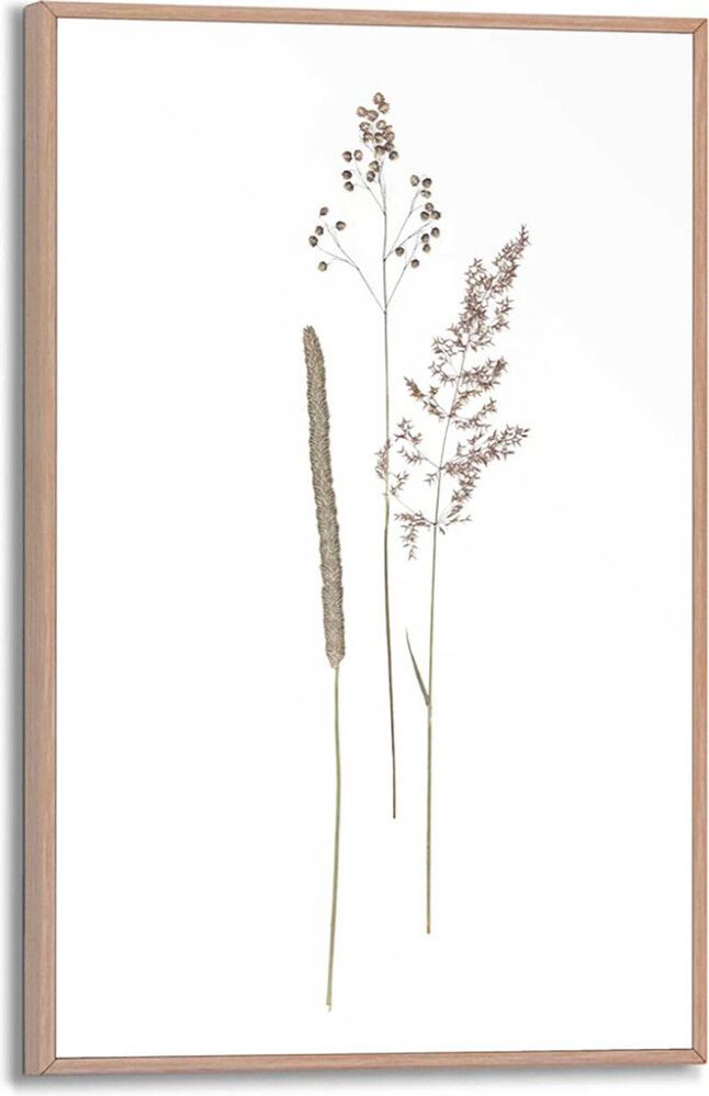 Sisustustaulu Reinders Dried Flowers 20 x 30 cm