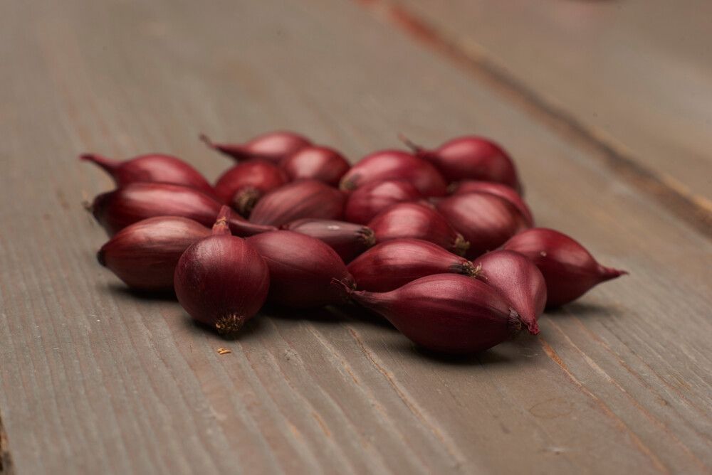 Punasipuli Red Baron 500 g