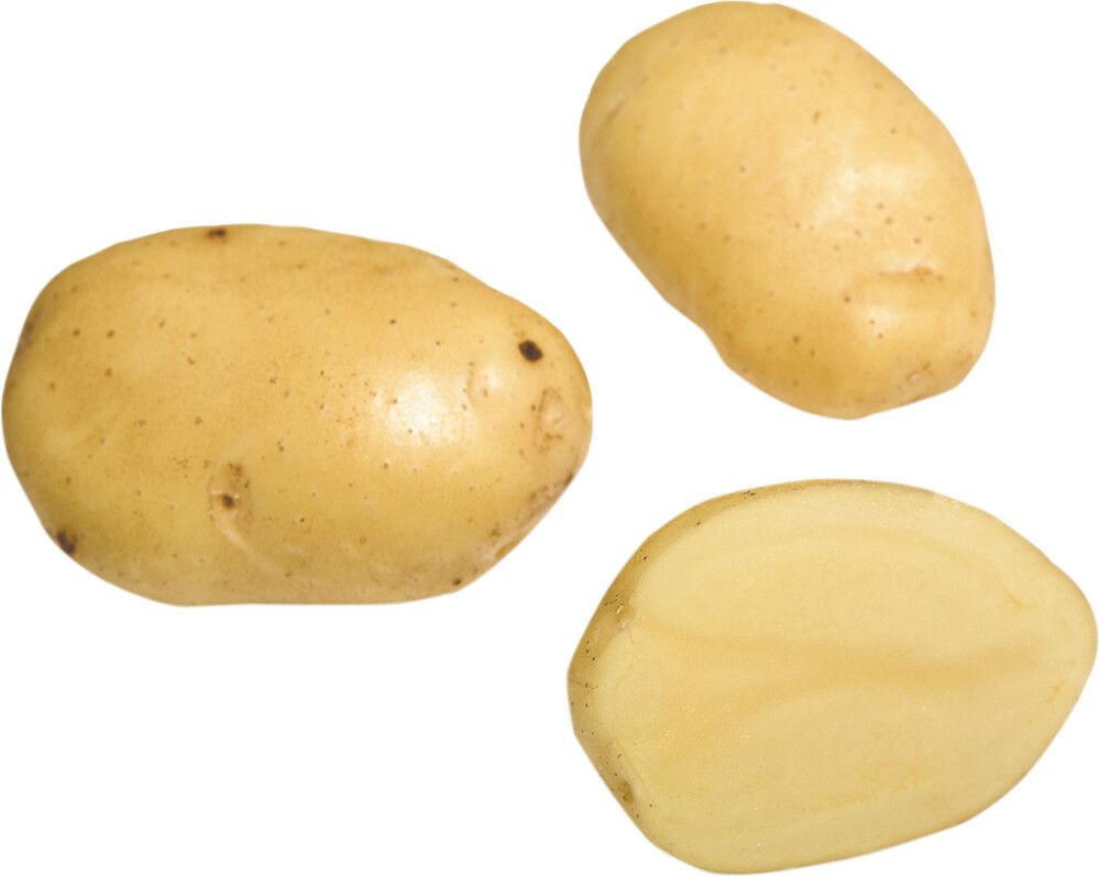 SIEMENPERUNA SIIKLI 1 KG