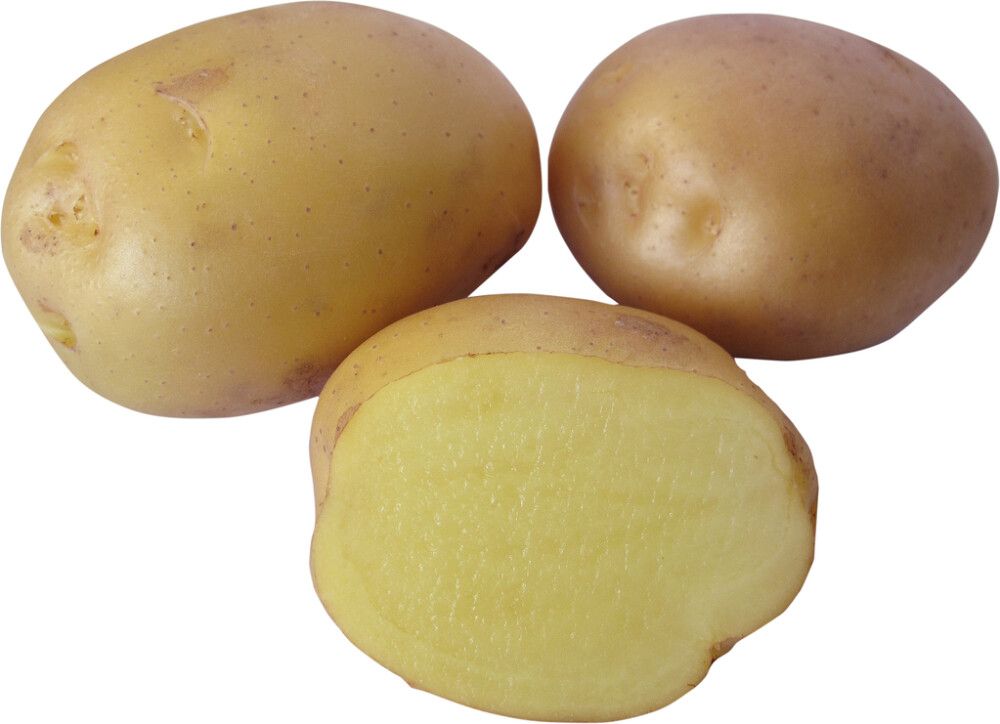 SIEMENPERUNA JUSSI 5 KG