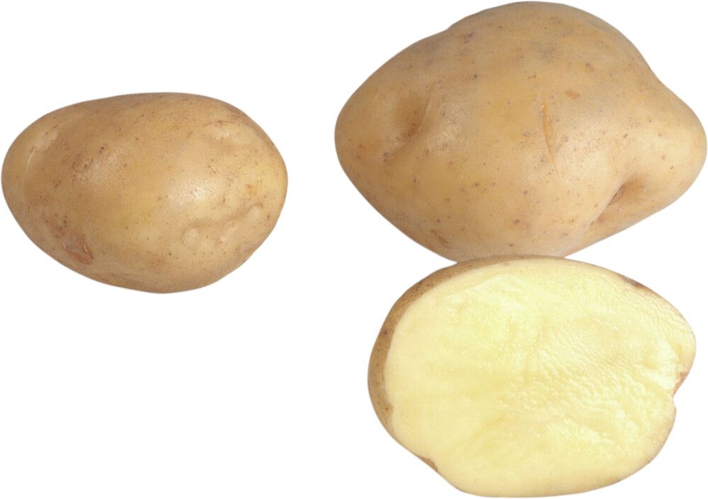 SIEMENPERUNA TIMO 1 KG