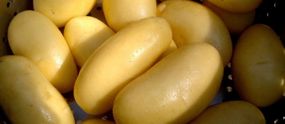 SIEMENPERUNA ANNABELLE 3 KG