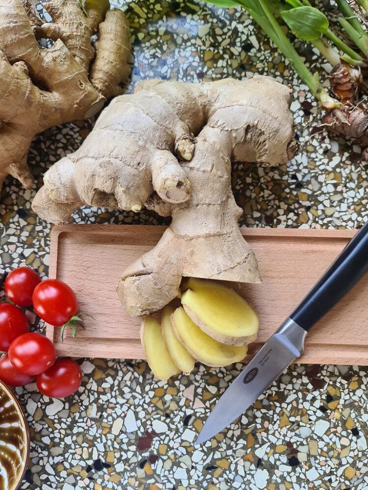 Inkivääri Zingiber Officinalis 6 kpl