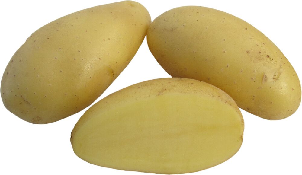 SIEMENPERUNA JAZZY 1 KG