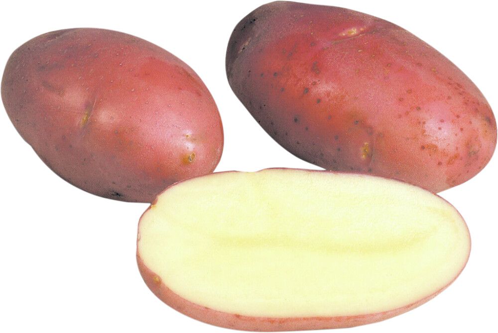 SIEMENPERUNA ROSAMUNDA 1 KG