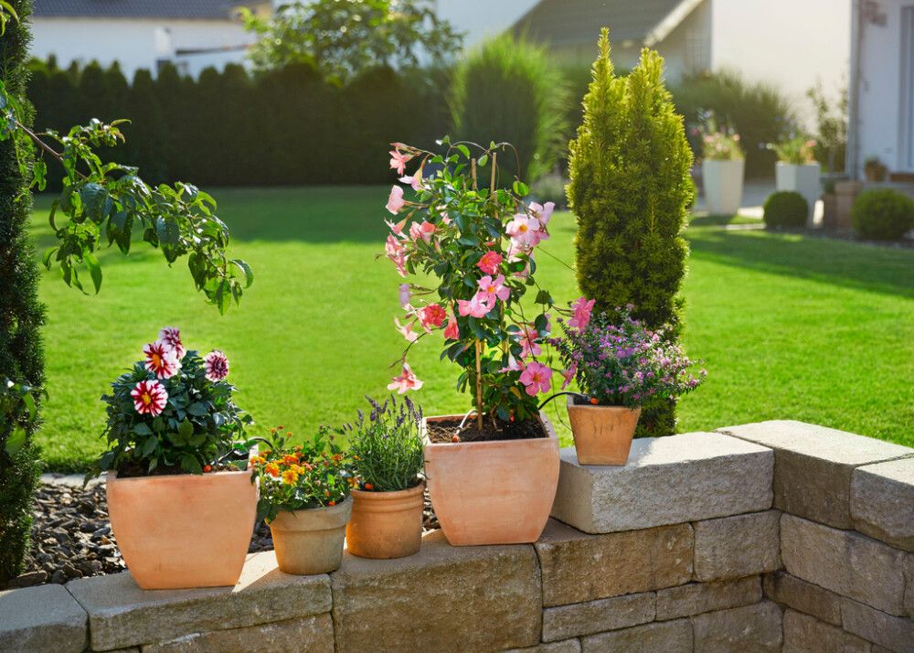 Kastelusarja Gardena Micro-Drip S ruukuille