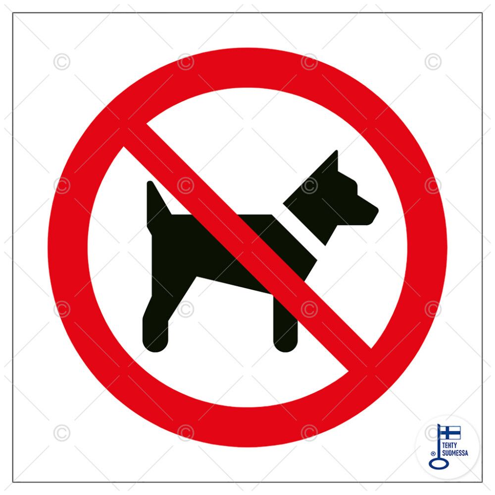 Huomiokyltti ei koiria 100 x 100 mm