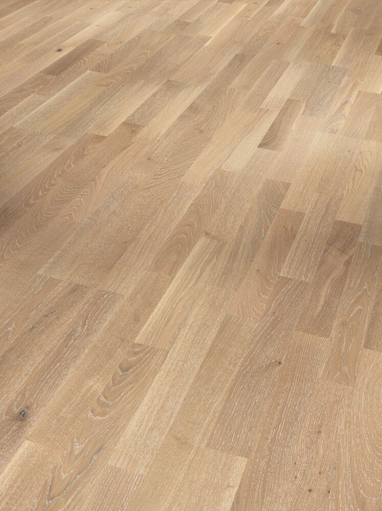Parketti Parador Basic 11-5 Oak White Limed