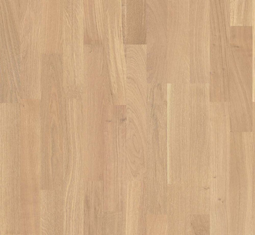 Parketti Parador Basic 11-5 Oak White Matt Lacquered