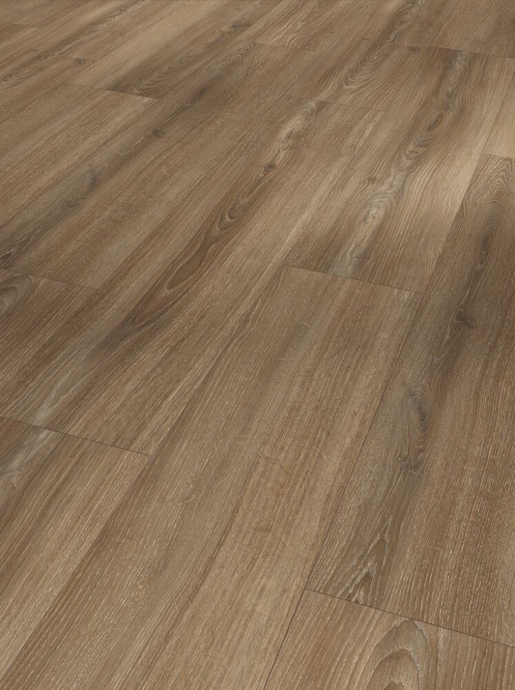 Laminaatti Parador Basic 600 Oak Studioline brown