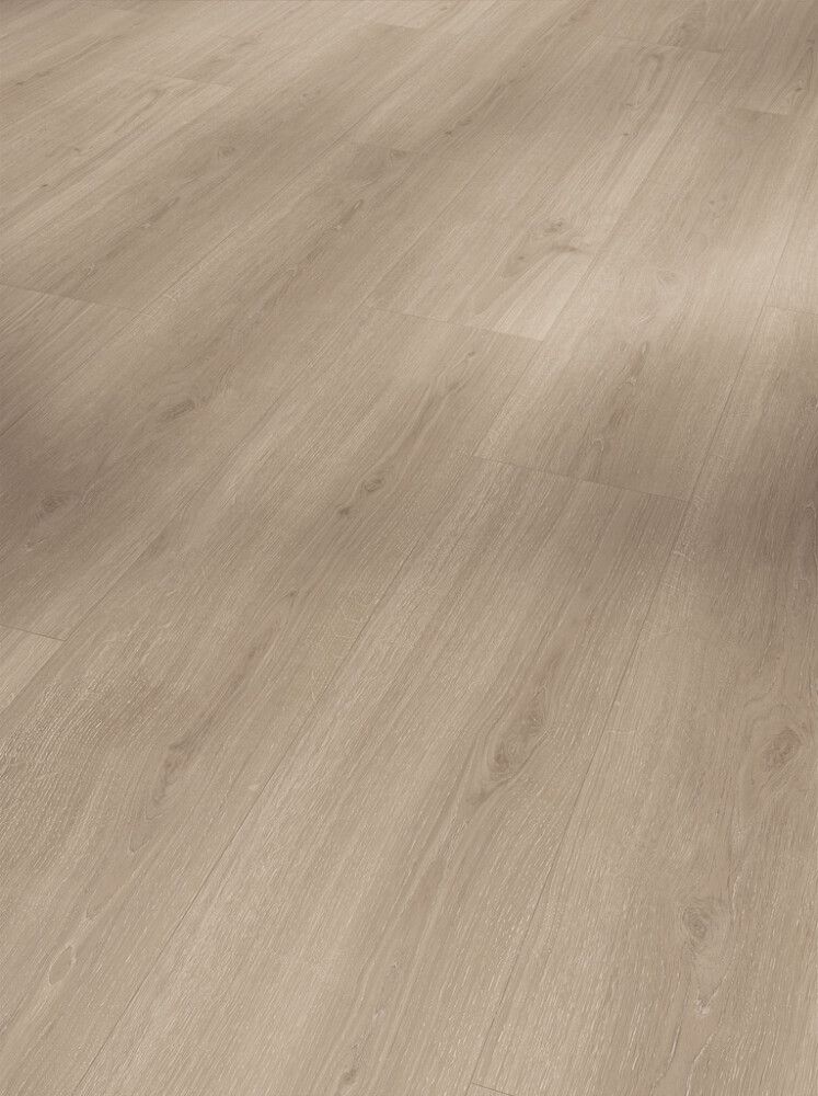 Vinyylilankku Parador Basic 5.3 SPC Oak Regent grey