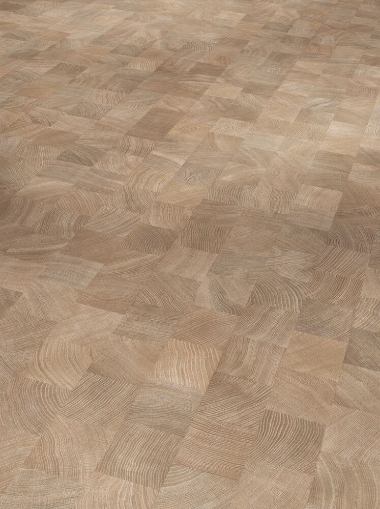 Laminaatin mallipala Parador Basic 400 Oak crosscut limed