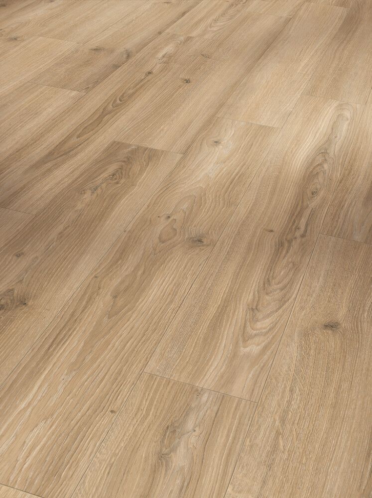 Laminaatin mallipala Parador Basic 400 Oak Studioline beige
