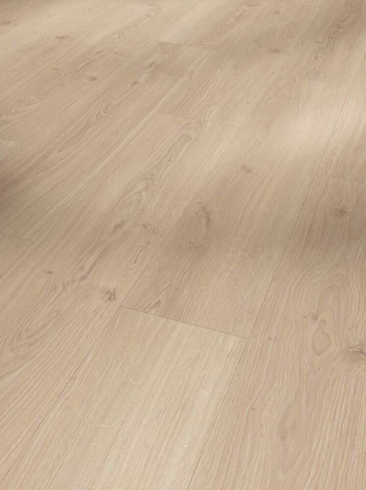 Laminaatin mallipala Parador Basic 600 Oak Studioline pure