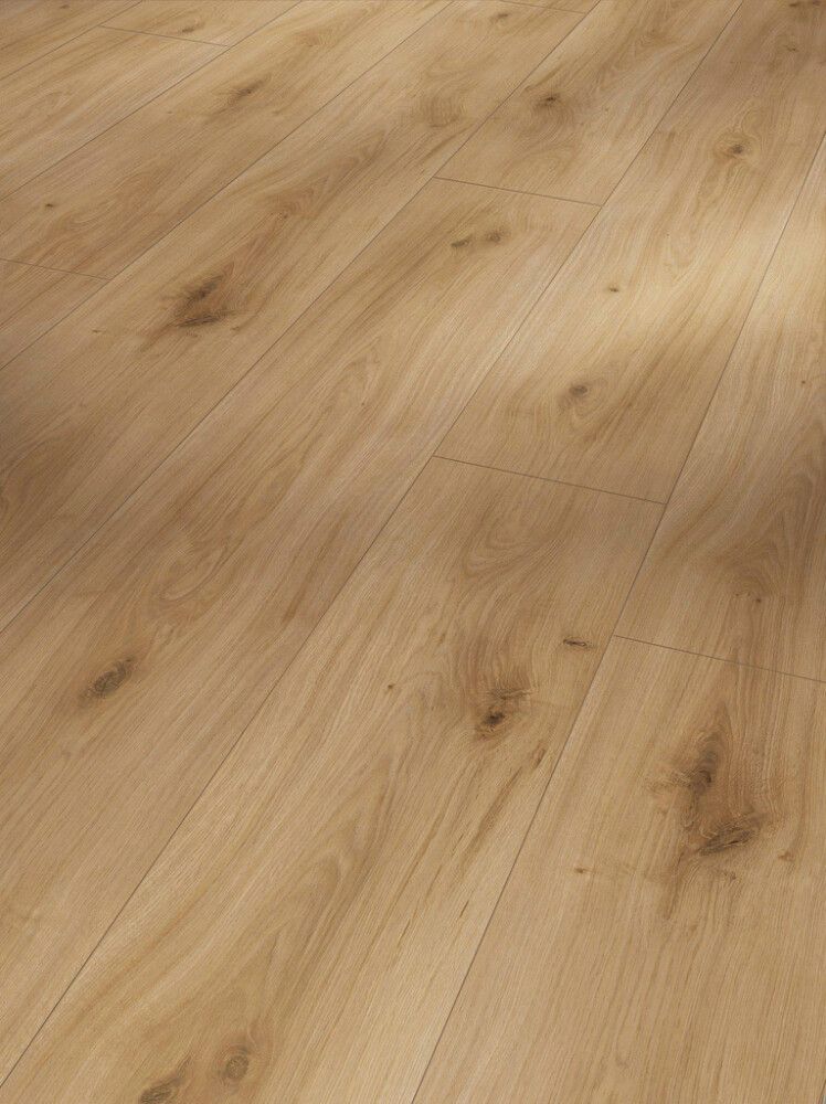 Laminaatin mallipala Parador Basic 600 Oak Horizont Natural