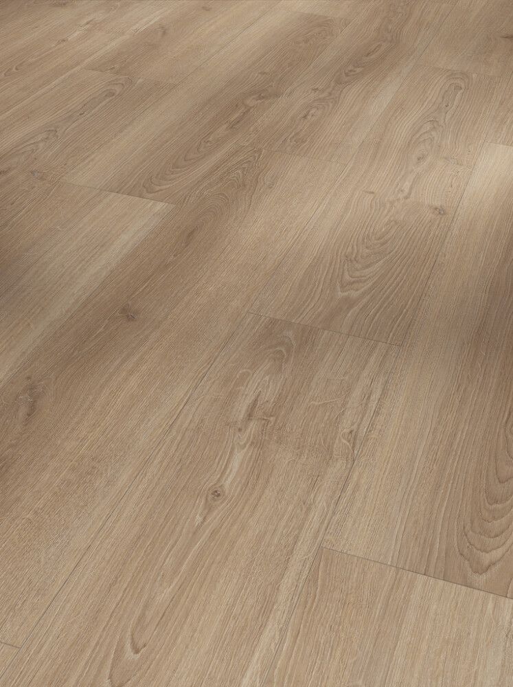 Laminaatin mallipala Parador Basic 600 Oak Studioline macchiato