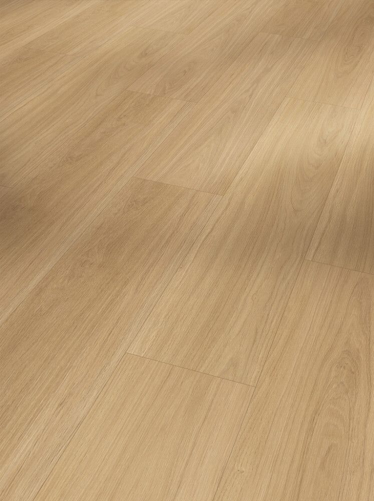 Vinyylilankun mallipala Parador Basic 5.3 Oak Oxford Natural
