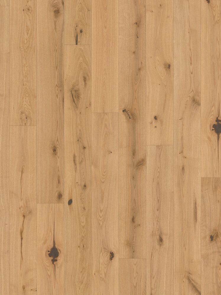 Parketin mallipala Parador Basic 11-5 Oak Chianti light-whitewashed