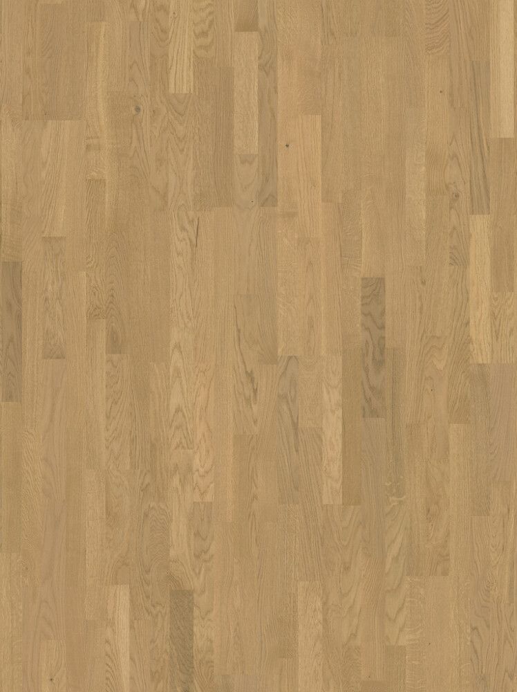 Parketin mallipala Parador Basic 11-5 Oak Malbec light-whitewashed