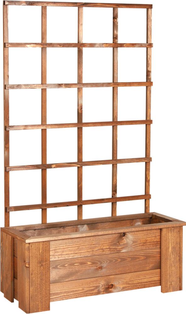 Kukkalaatikko köynnösritilällä mänty