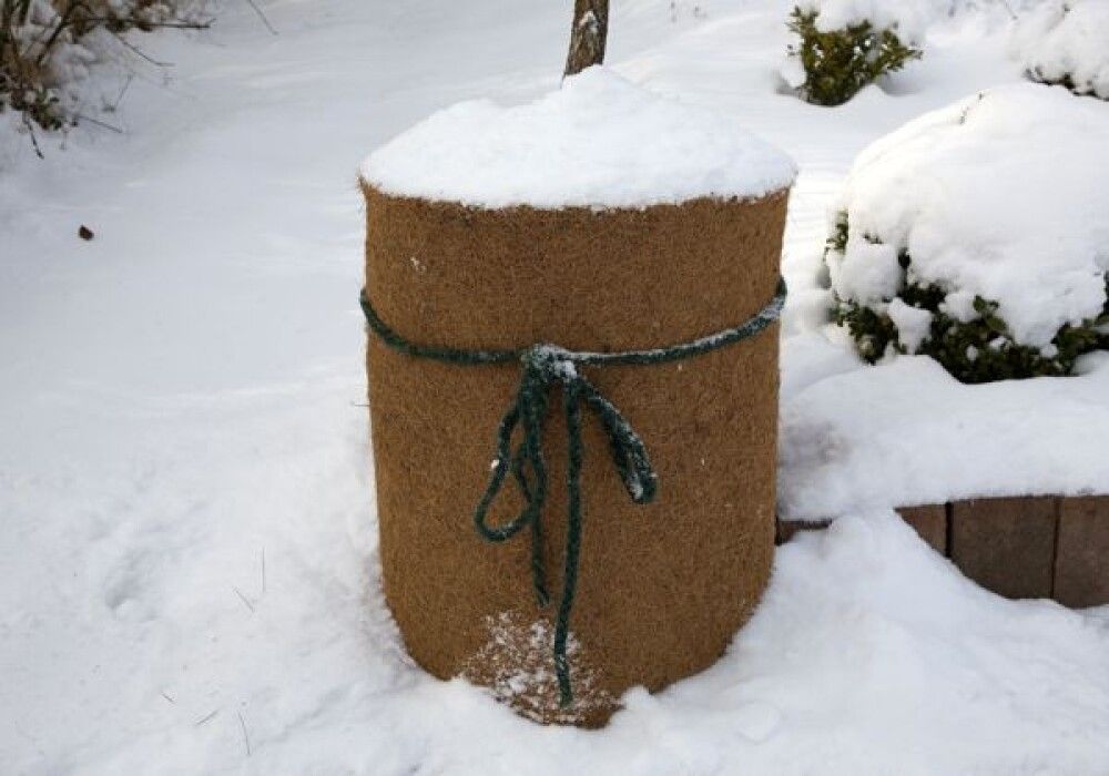 Kookossuojamatto 1,5 x 1 m