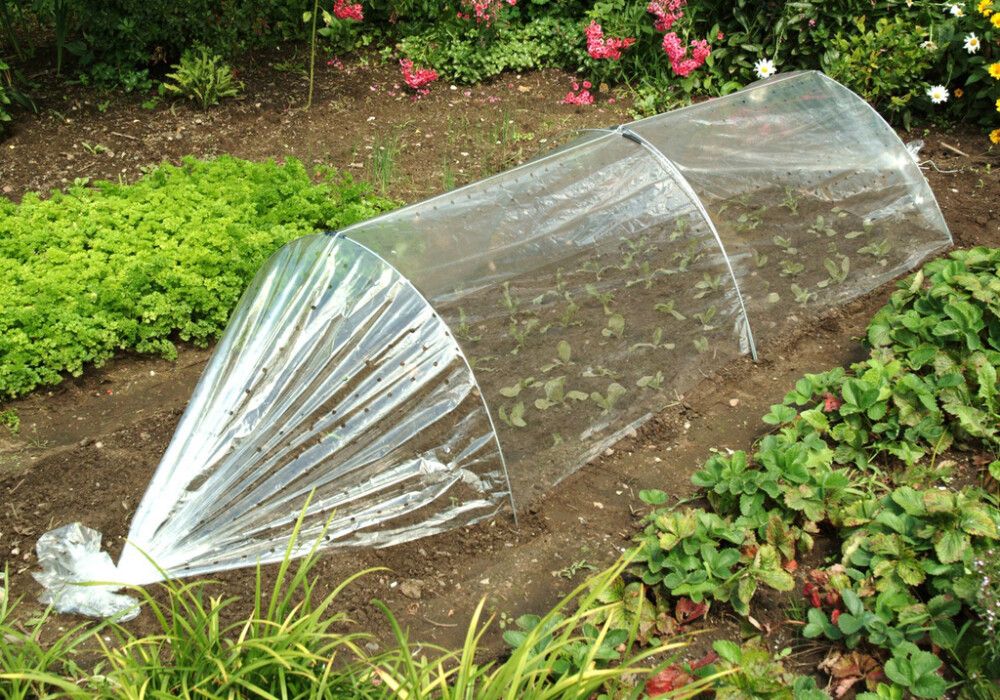 Kasvutunneli 350 x 100 x 40 cm