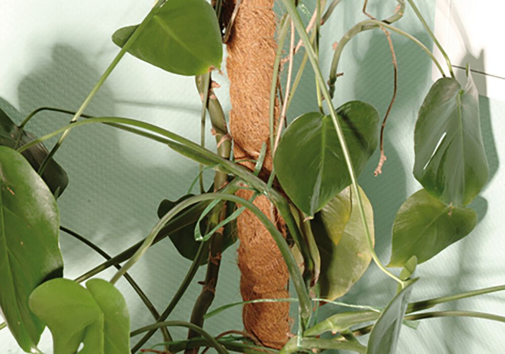 Kookostukikeppi 80 cm