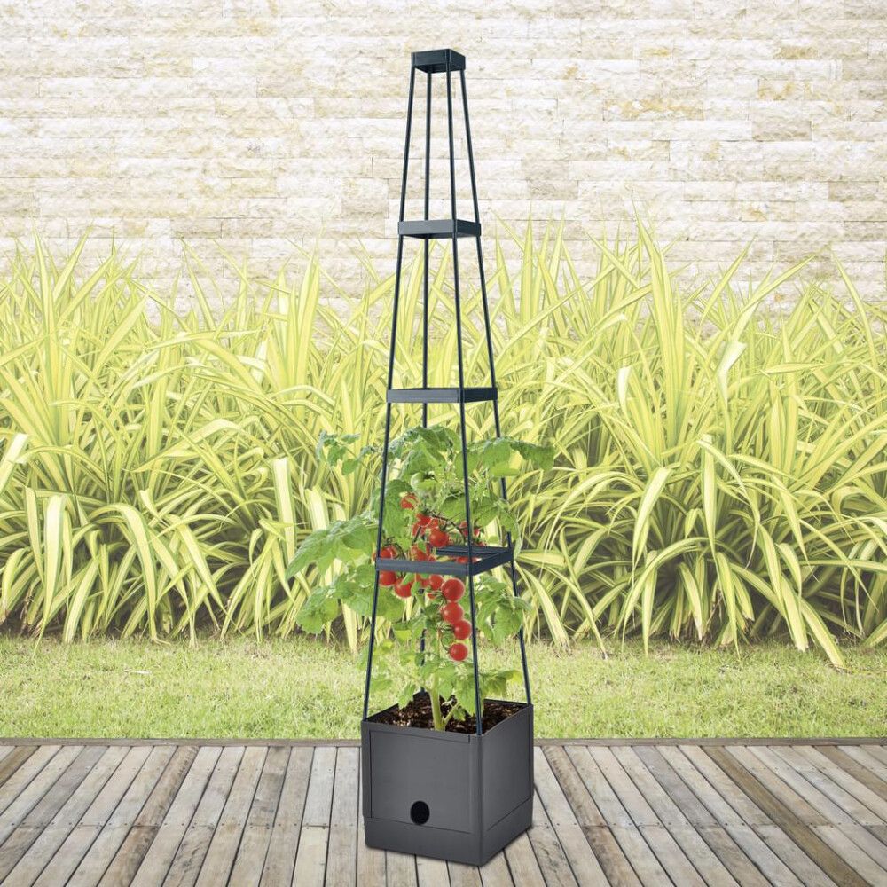 Altakasteluruukku kasvituella 25 x 25 x 150 cm