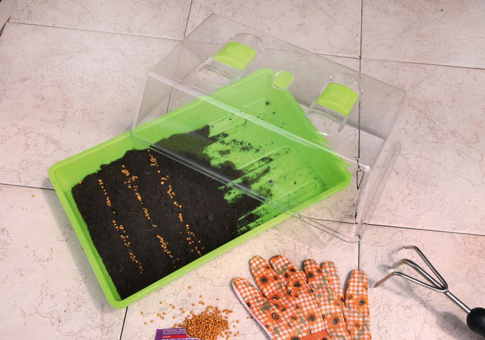 Minikasvihuone 38 x 24 x 18,5 cm vaaleanvihreä