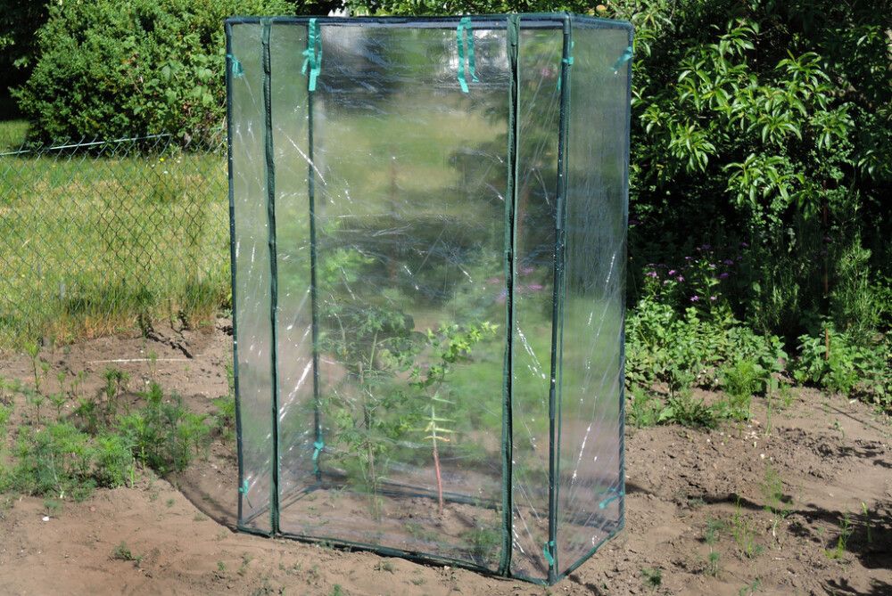 Kasvihuone 100 x 50 x 150 cm