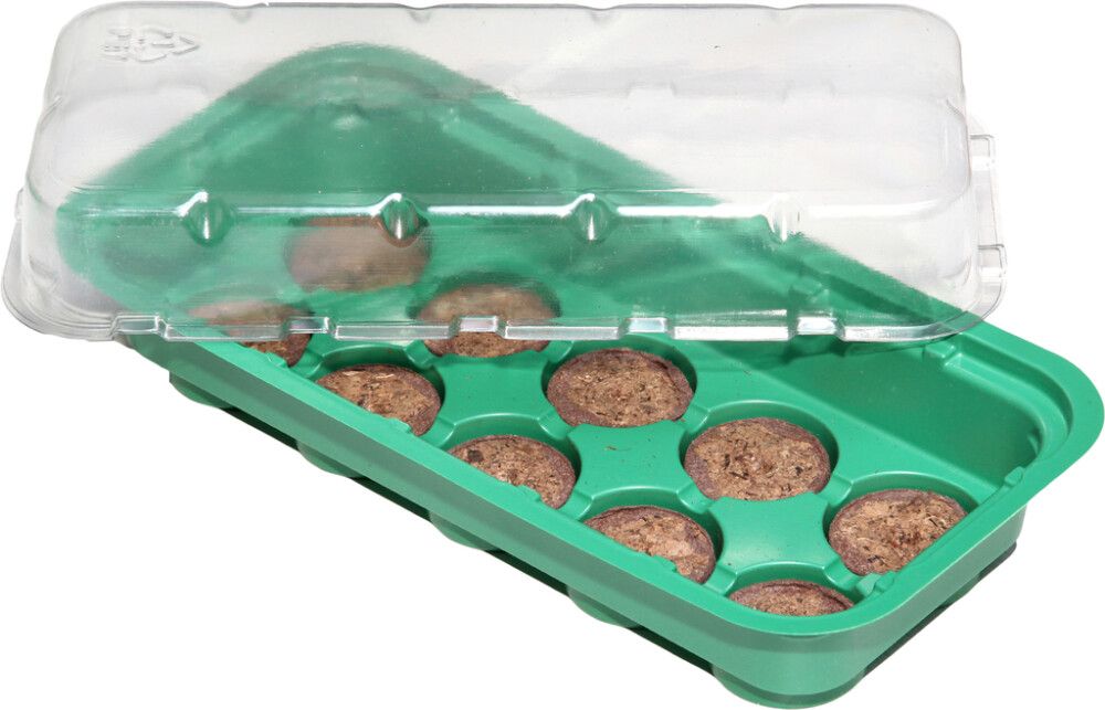 Minikasvihuone 25,5 x 12,5 x 6 cm