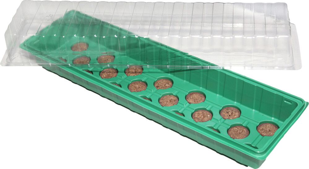 Minikasvihuone 54,5 x 15,5 x 12 cm