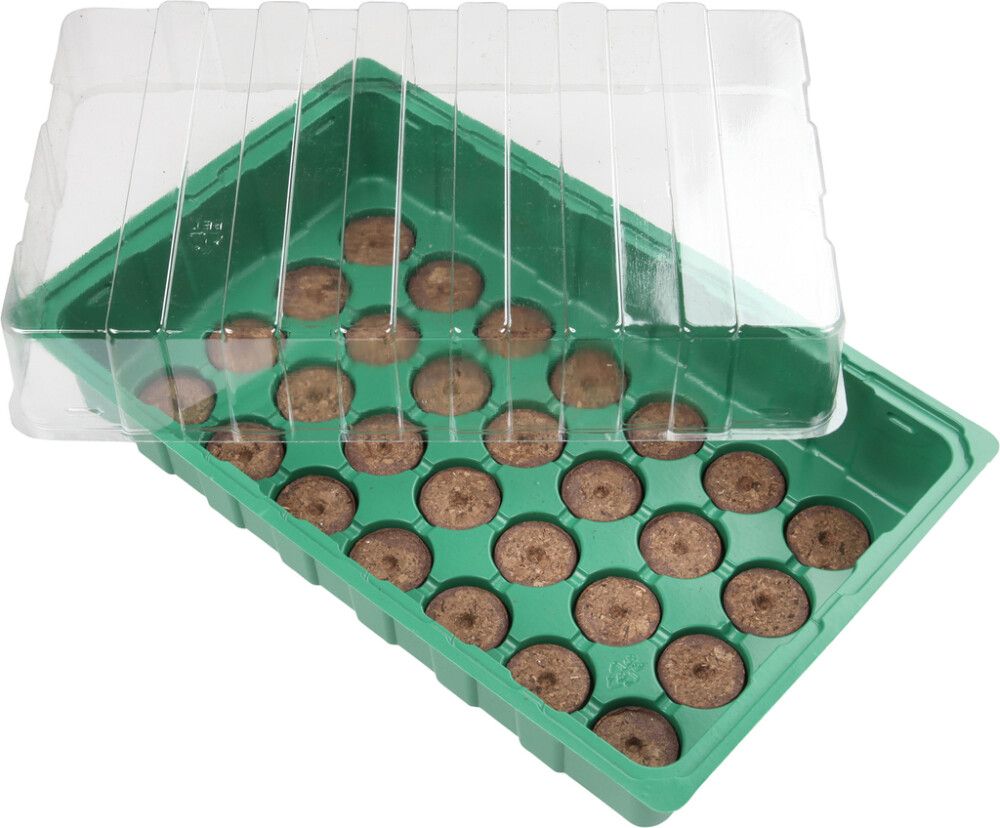 Minikasvihuone 35,5 x 22 x 12 cm +turvenapit