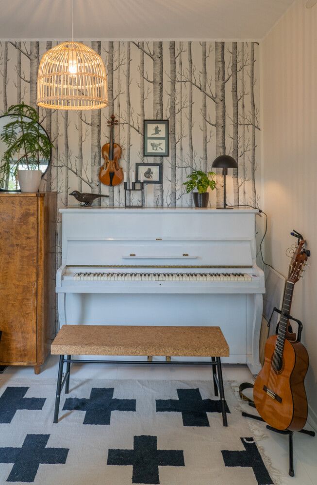 Riippuvalaisin Sessak Coco