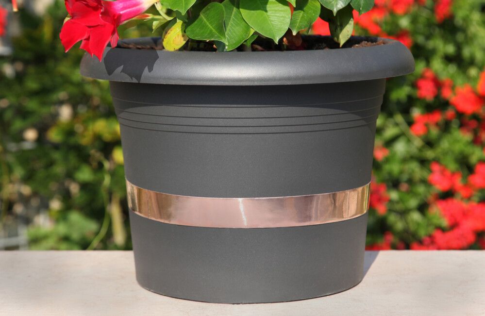 Etanaeste kupariteippi 5 m x 30 mm