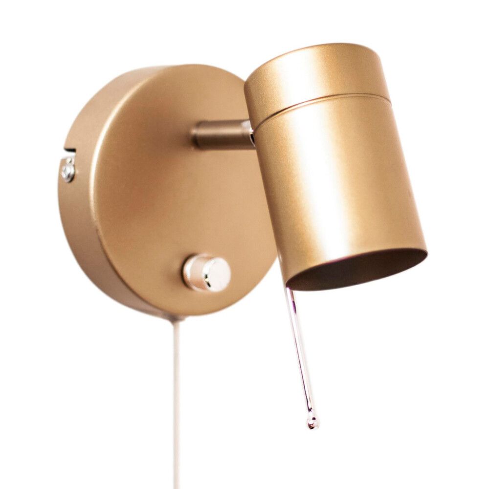 Seinäspotti Sessak Correct 1-os Kulta