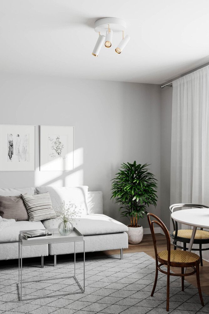 Pikkukuva 2