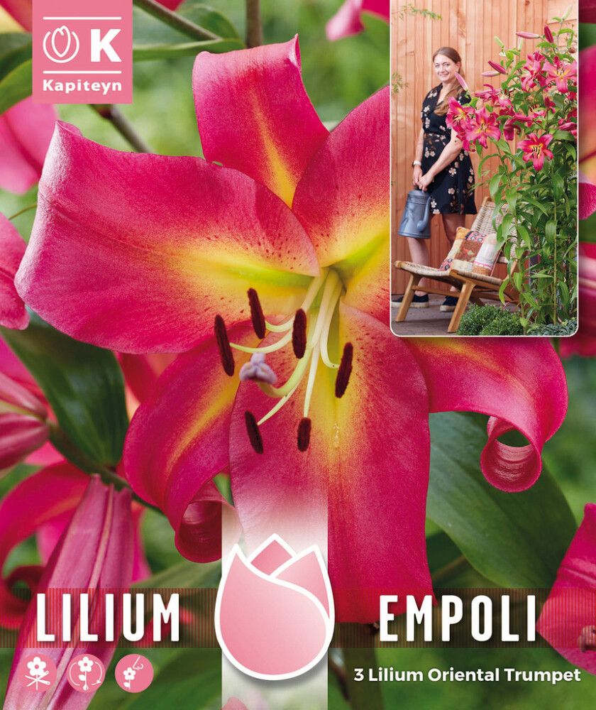 Kevätkukkasipuli Kapiteyn Lilja Empoli 3 kpl